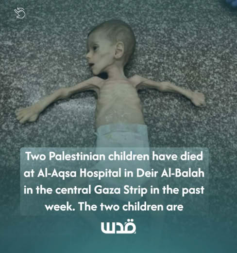 Gaza is facing a devastating humanitarian crisis, with over 3,500 children under the age of five at risk of death due to